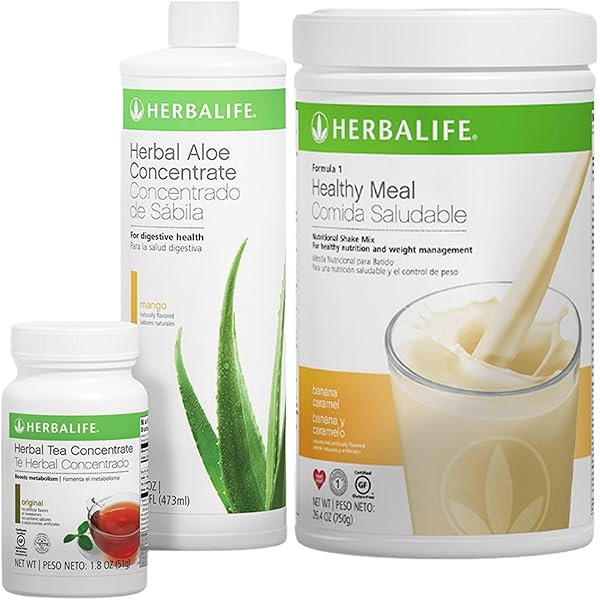 HERBALIFE Healthy Meal マンゴー 2本セット HERBALIFE Healthy Meal マンゴー 2本セット HERBALIFE Healthy